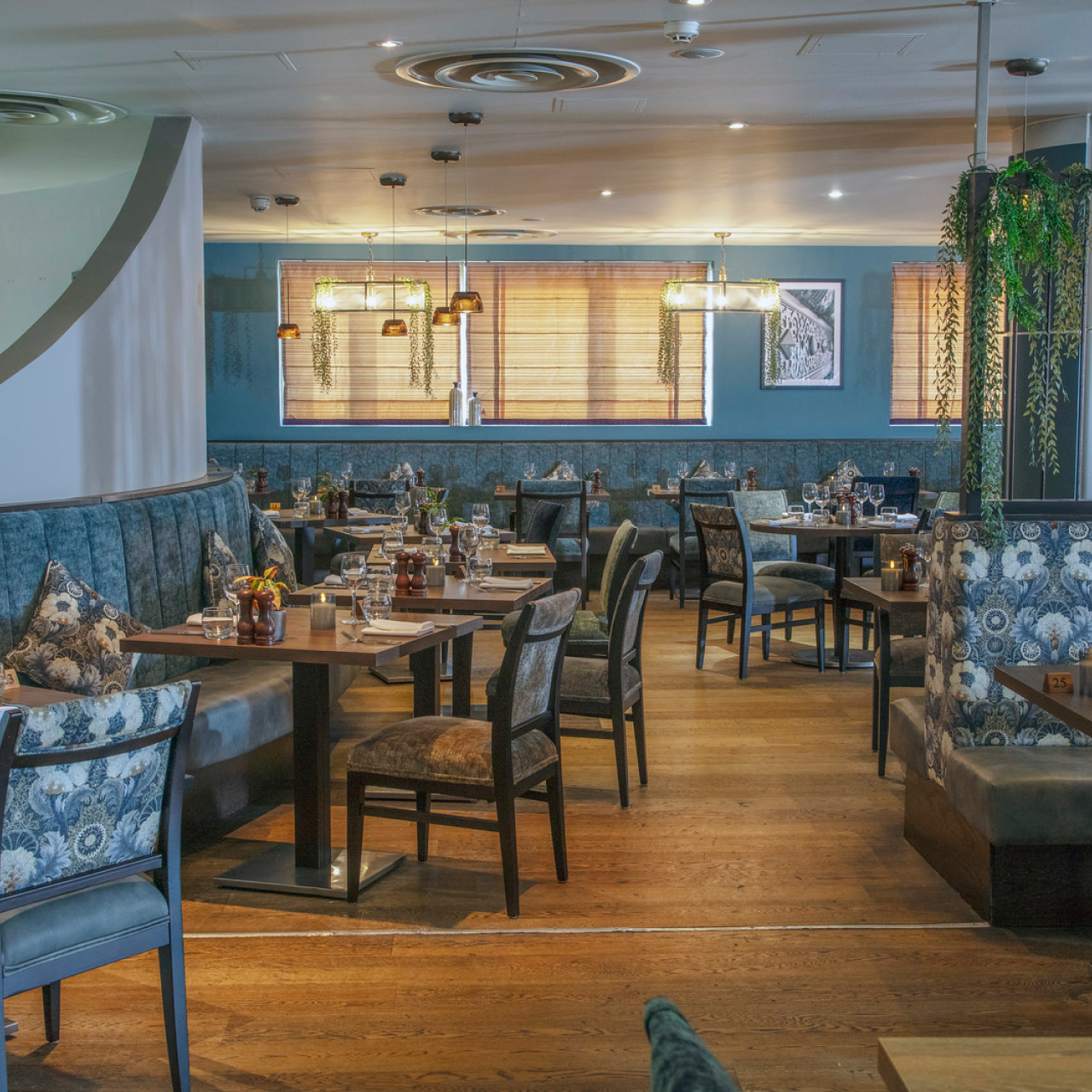 5050 Desktop5050 1 Dinner