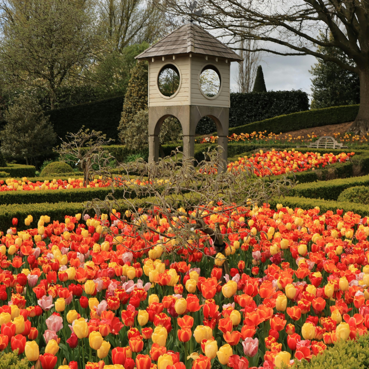 Bridgemere Gardens 5050