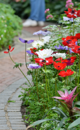 Seasonal Fun in Cheshire