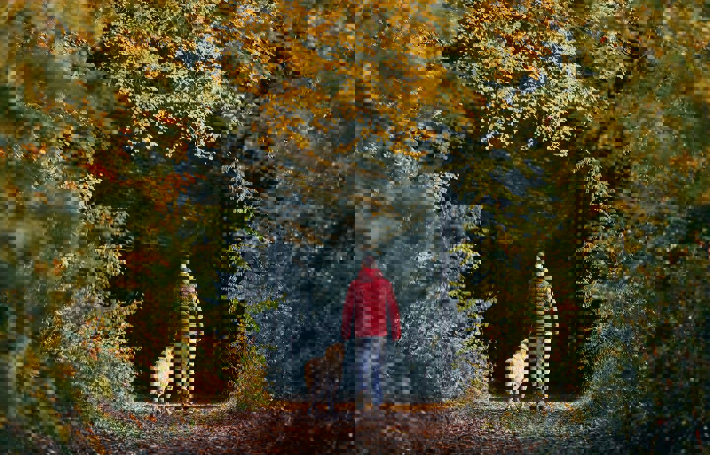 CELEBRATE THE SEASONS