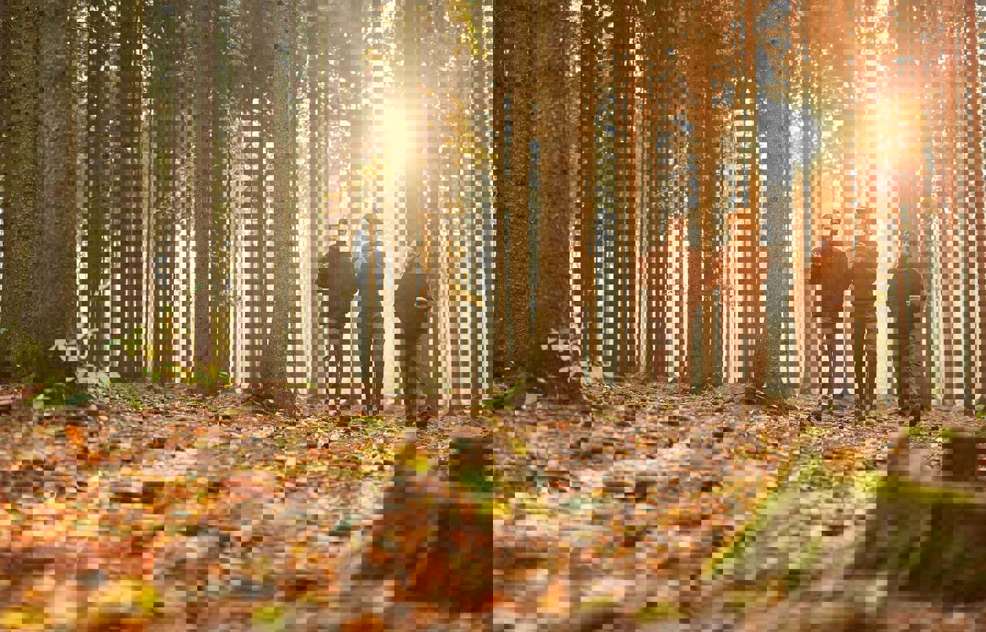 EXPLORE SOMEWHERE NEW