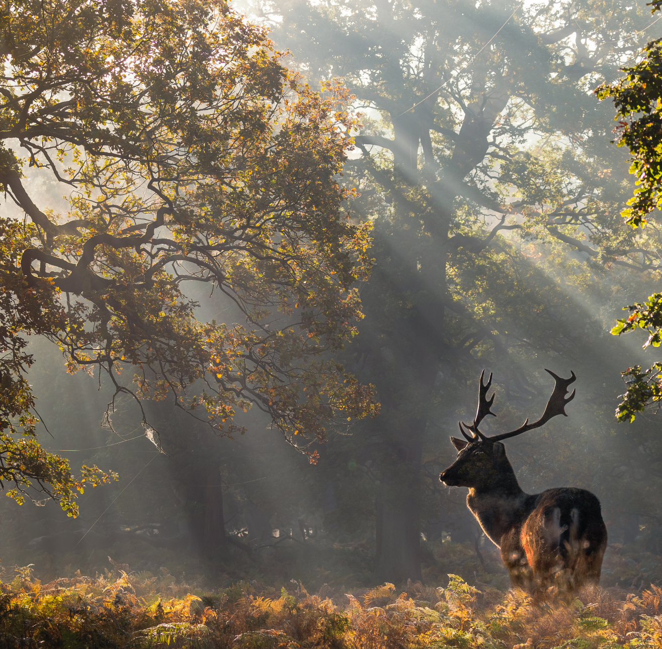 Keyinformation Desktop 01