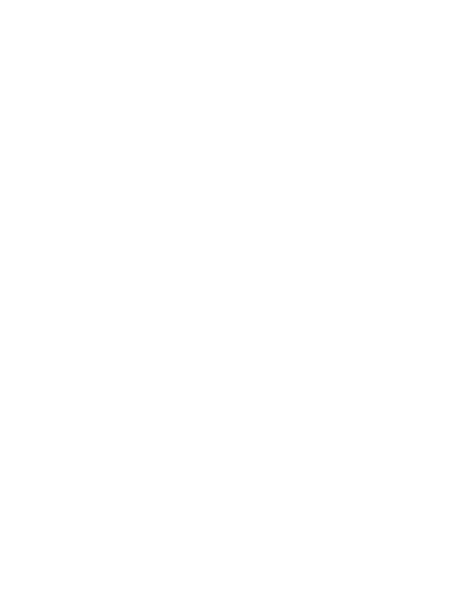 White version - Bronze