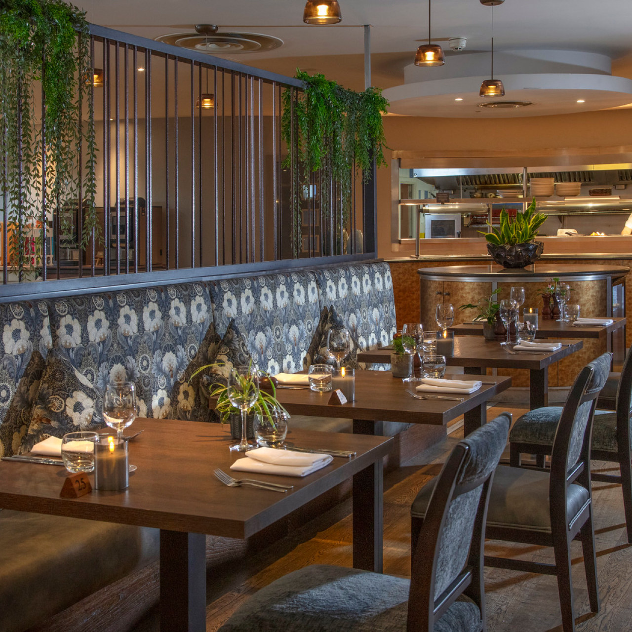 5050 Desktop5050 1 Dinner